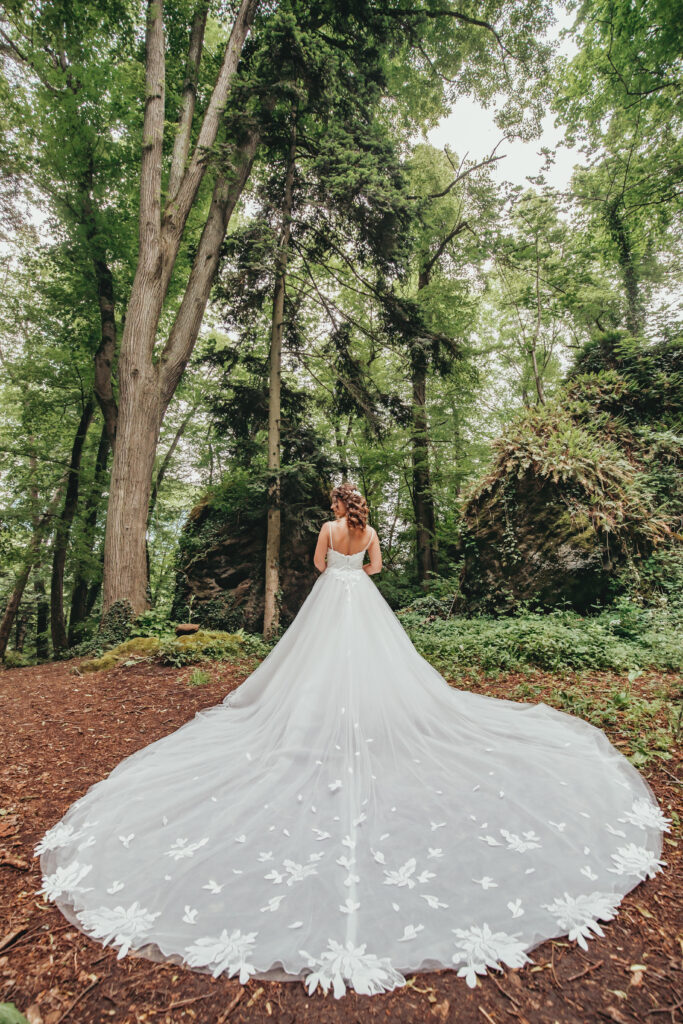 Robe princesse en tulle details dentelles